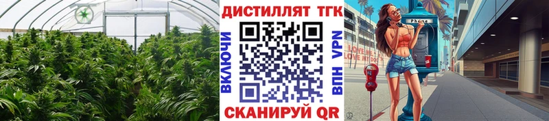 ТГК концентрат  Нижняя Тура 
