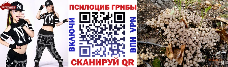 Галлюциногенные грибы Magic Shrooms  kraken ССЫЛКА  Нижняя Тура 